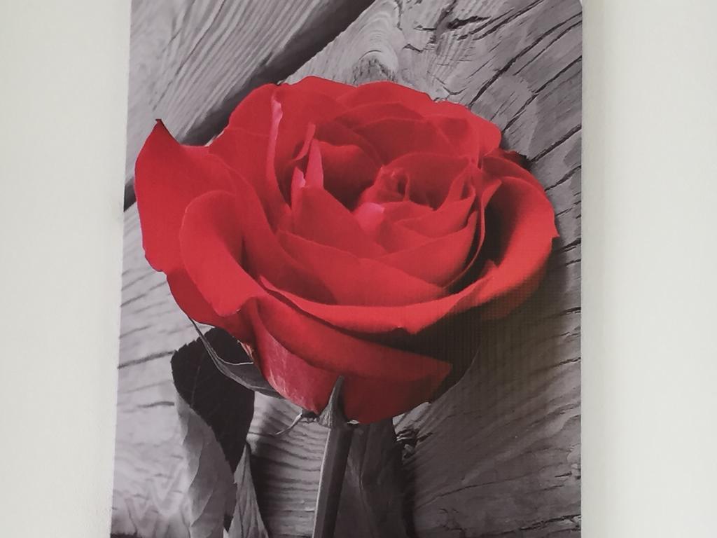 锡拉库扎Rosa Di Ortigia公寓 外观 照片